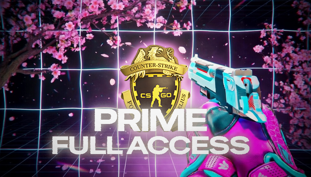 🟪PRIME ACC CS2 (INACTIVE)